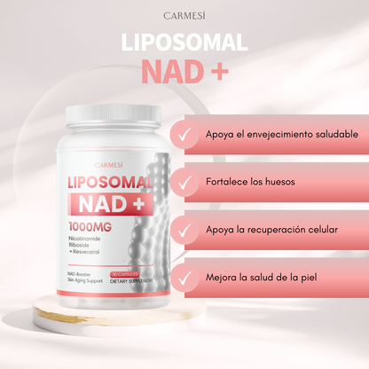3 x NeverEge -OFERTA
