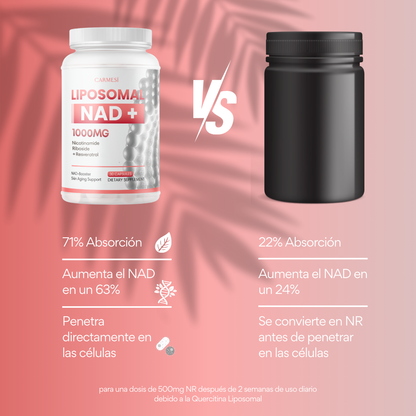 3 x NeverEge -OFERTA